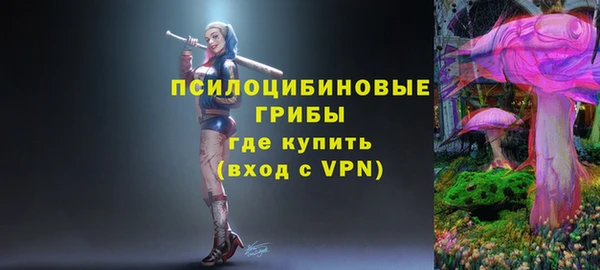 соль курить ск Алзамай