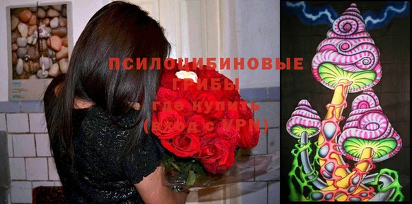 прущие крисы Алексин